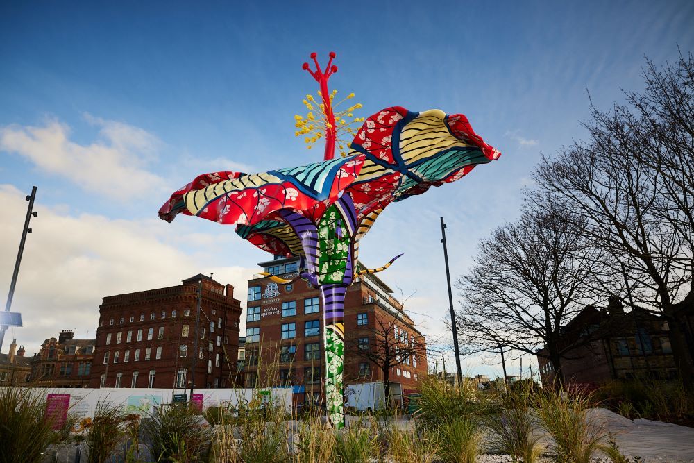 Hibiscus Rising, Leeds