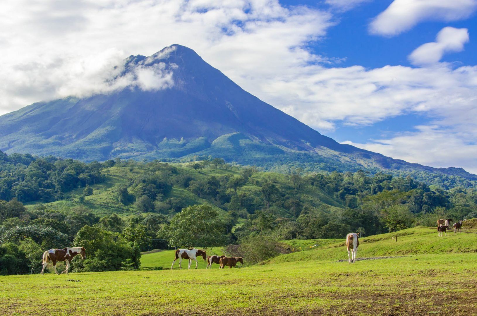 Arenal volcano in Costa Rica © Simon Dannhauer/Shutterstock