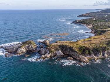 From the Cloud Forest to the Beaches