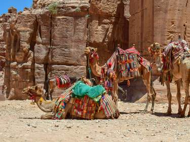 Family adventure in Jordan