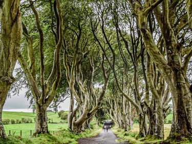 Game of Thrones – Northern Ireland