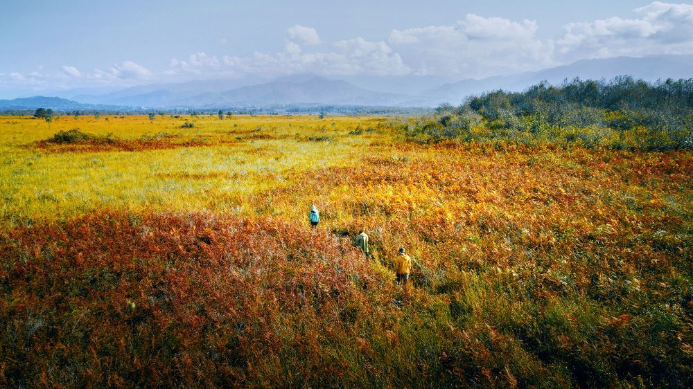 Kobuleti Protected Areas_Ispani Sphagnum Peatlands.jpg