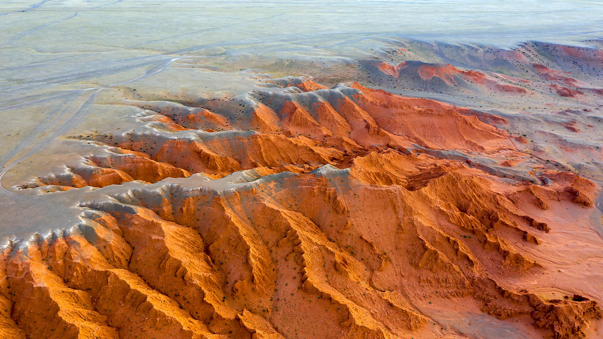 Aerial view of the Bayanzag flaming cliffs at sunset in Mongolia, found in the Gobi Desert