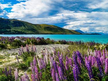 Discover the South Island: a self drive trip from Christchurch and back