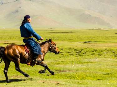 Horses and camels: Small Gobi & Arkhangay