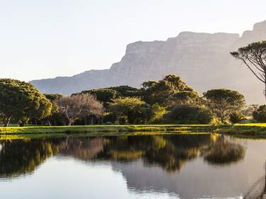 The Cape Peninsula and Safaris in Kruger and Pilanesberg