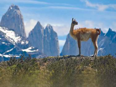 Chile Explored: From Santiago to Torres del Paine