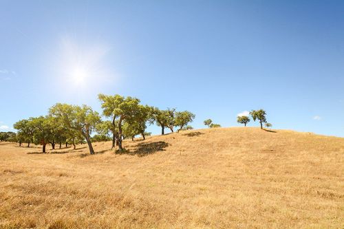 Alentejo, Pixel to the People - SS