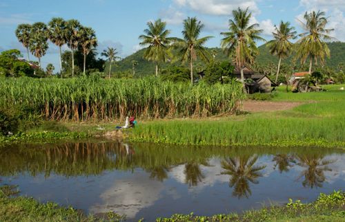 battambang-cambodia-shutterstock_361490546