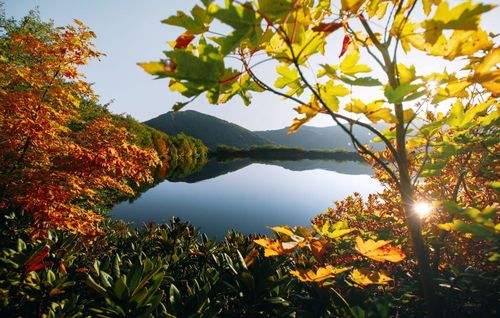 medium_Batumi_Georgia_Fall_Autumn_3ef5032aa7