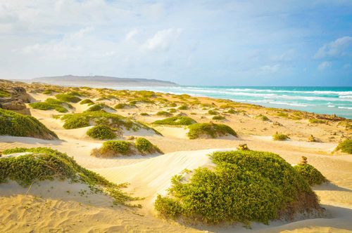 boa-vista-beach-cape-verde-shutterstock_1011175897