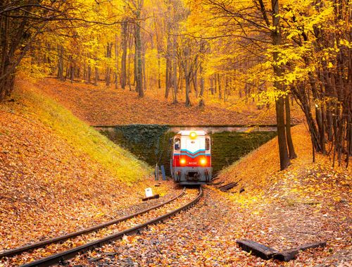 children-train-hungary-shutterstock_1220255083