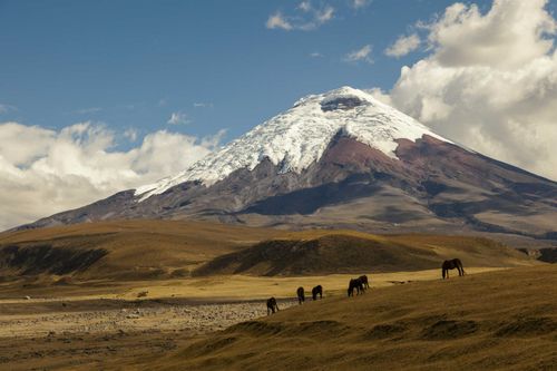 cotopaxi-volcano-ecuador-shutterstock_240040738