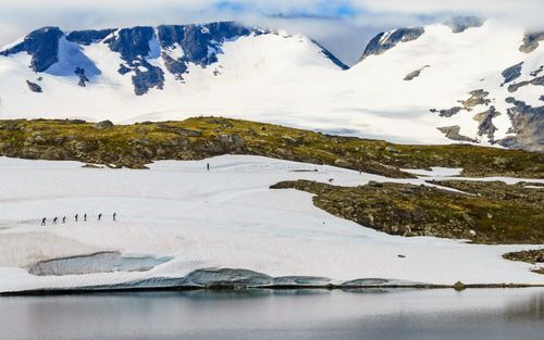 cross-country-ski-norway-shutterstock_1425308015