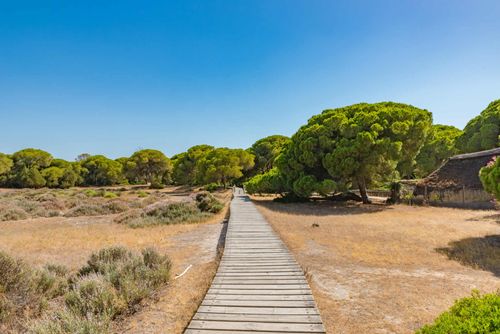 donana-national-park-spain-shutterstock_506588053