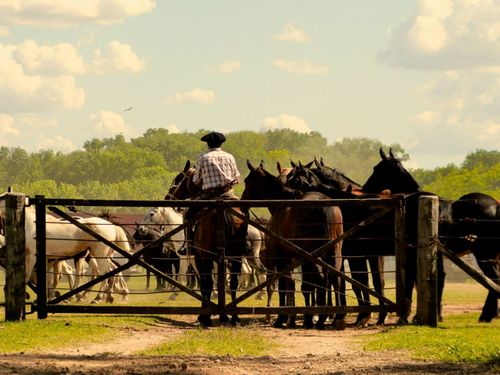 gaucho-san-antonio-de-areco-argentina-shutterstock_392196952