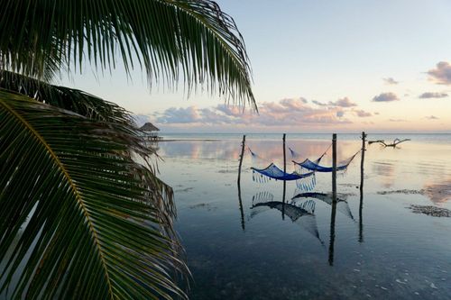 hammocks-caribbean-sea-ambergris-caye-belize-shutterstock_470778962