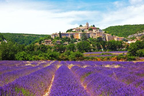 Lavender field and old town of Banon, France ©  S.R.Lee Photo Traveller/Shutterstock 