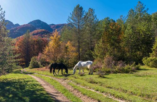 National Park of Abruzzo, Lazio and Molise (Italy) © ValerioMei/Shutterstock