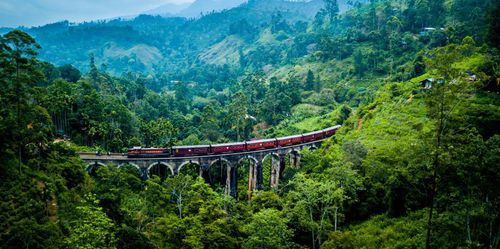 sri-lanka-railway-shutterstock_1084348016