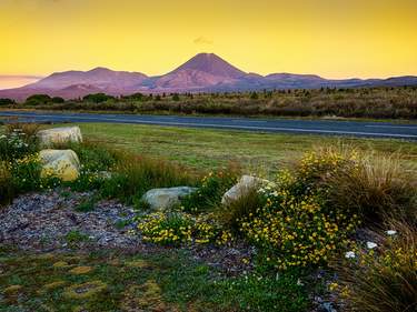 North Island: A self drive trip from Auckland