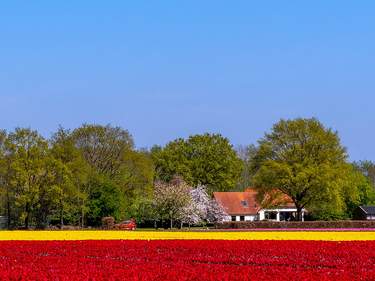 Experience the Liberation Route in BeNeLux