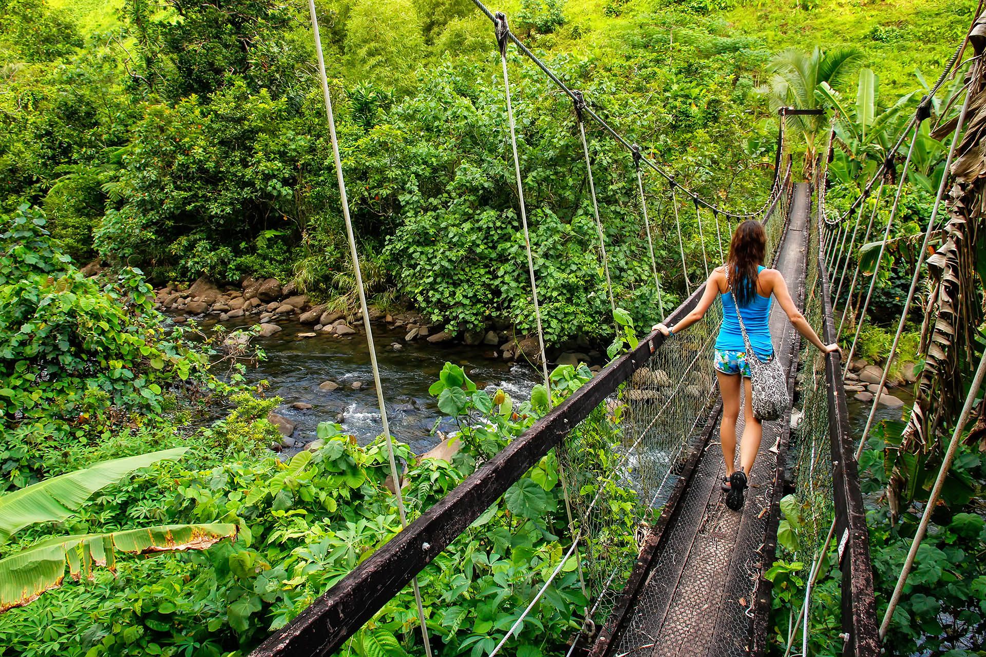 Wainibau, Lavena Coastal Walk, Taveuni Island, Fiji © Don Mammoser/Shutterstock